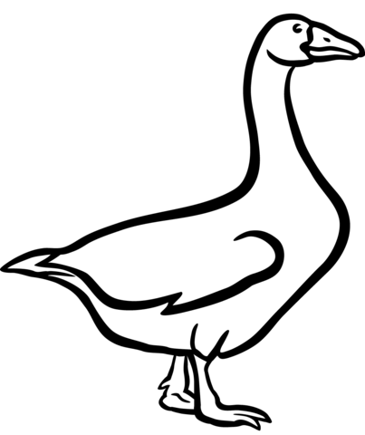 Domestic Goose Coloring Page